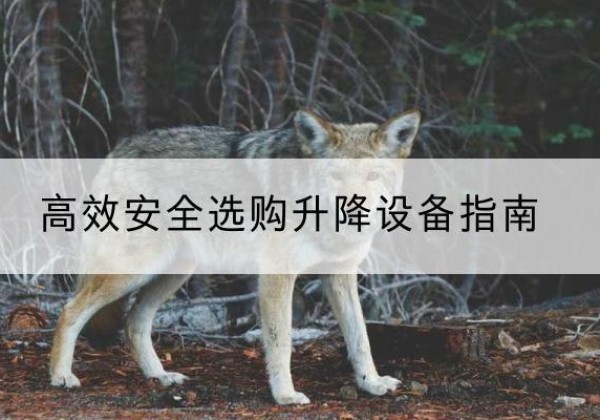 尼玛升降货梯厂家推荐-*安全选购升降设备指南