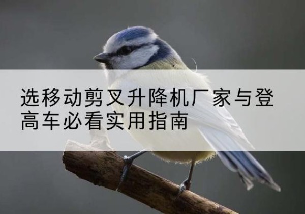 尼玛电动升降机厂家-选移动剪叉升降机厂家与登高车必看实用指南